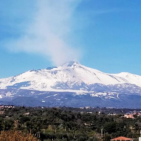 Mansarda Sul Mare Dei Ciclopi Lägenhet Aci Trezza Exteriör bild
